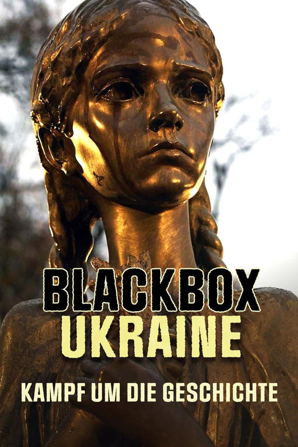 Poster di Blackbox Ukraine: Kampf um die Geschichte