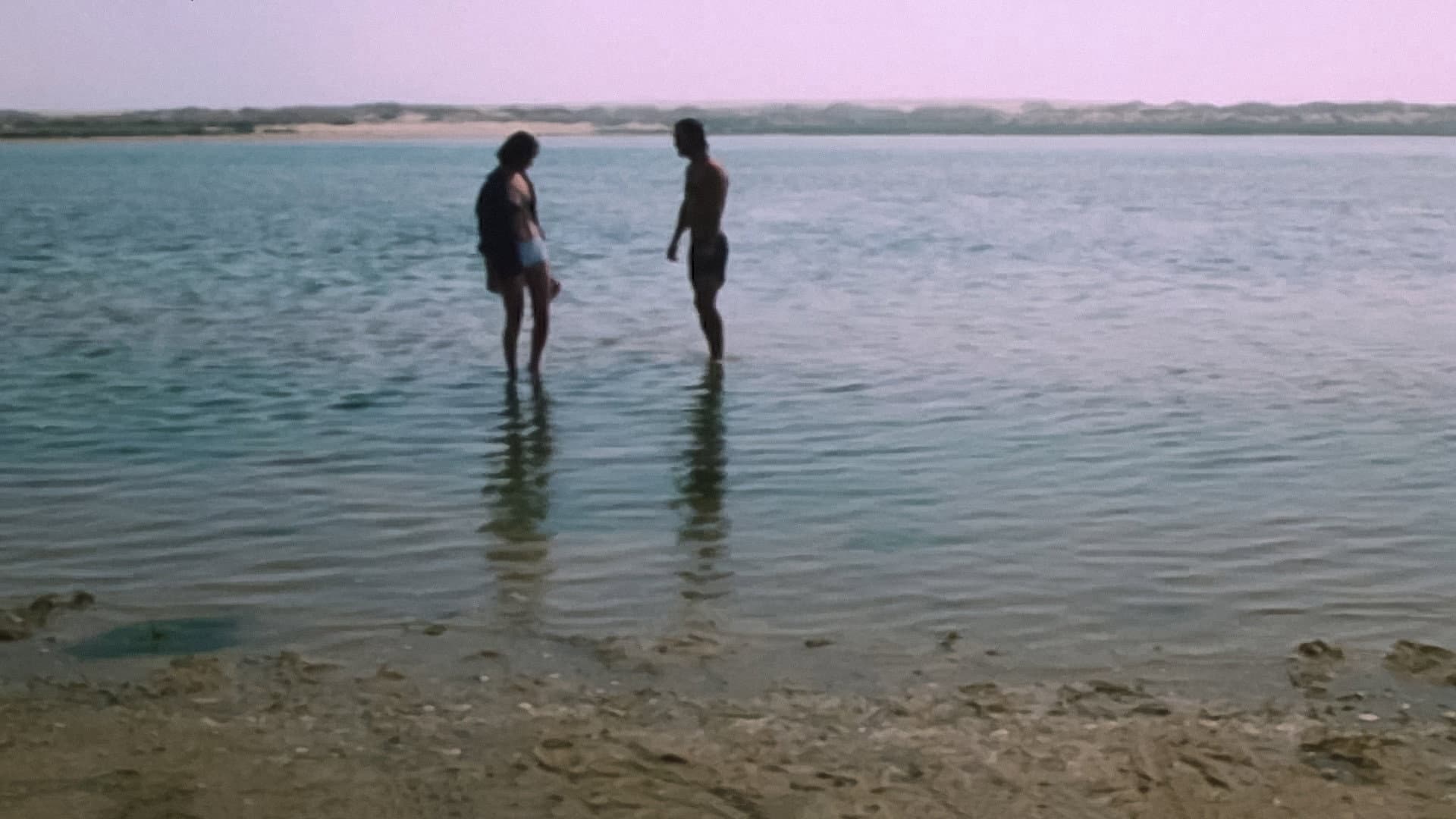 Água e Sal - immagine