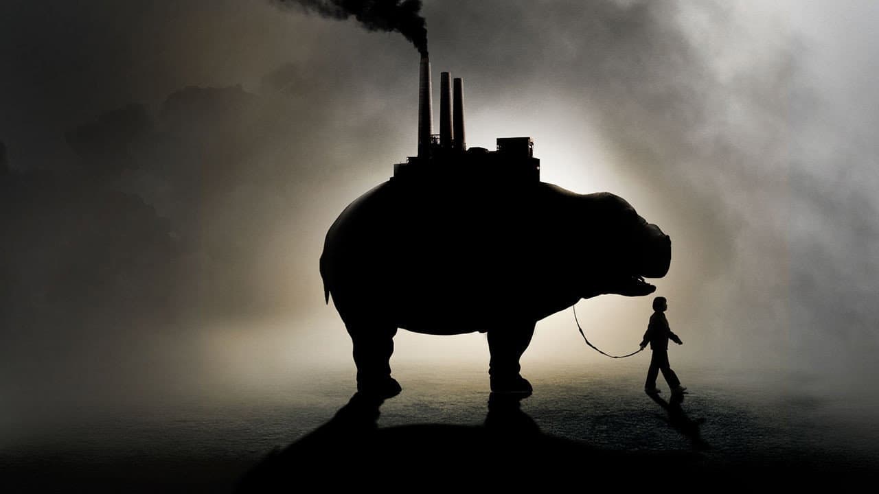 Okja - immagine
