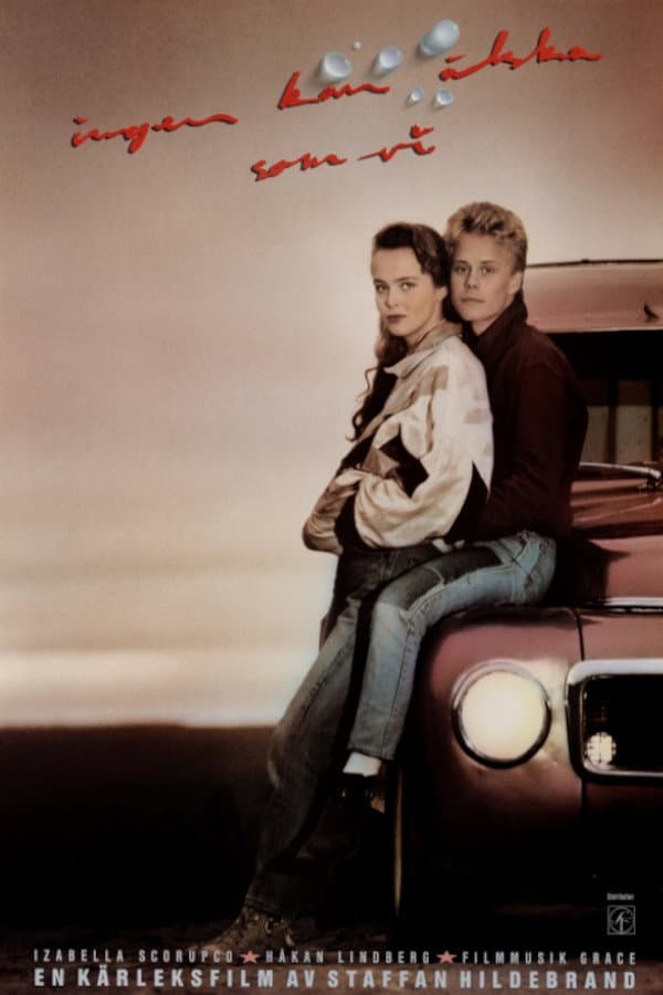 Poster di Ingen kan älska som vi