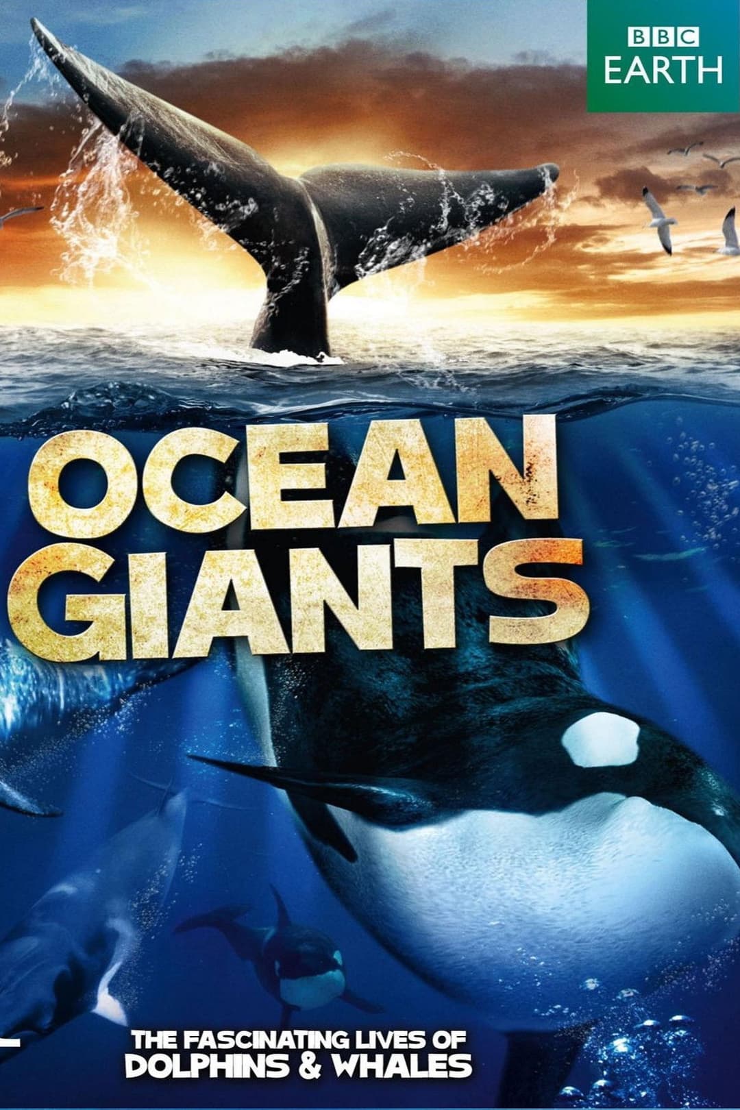 Poster di Ocean Giants