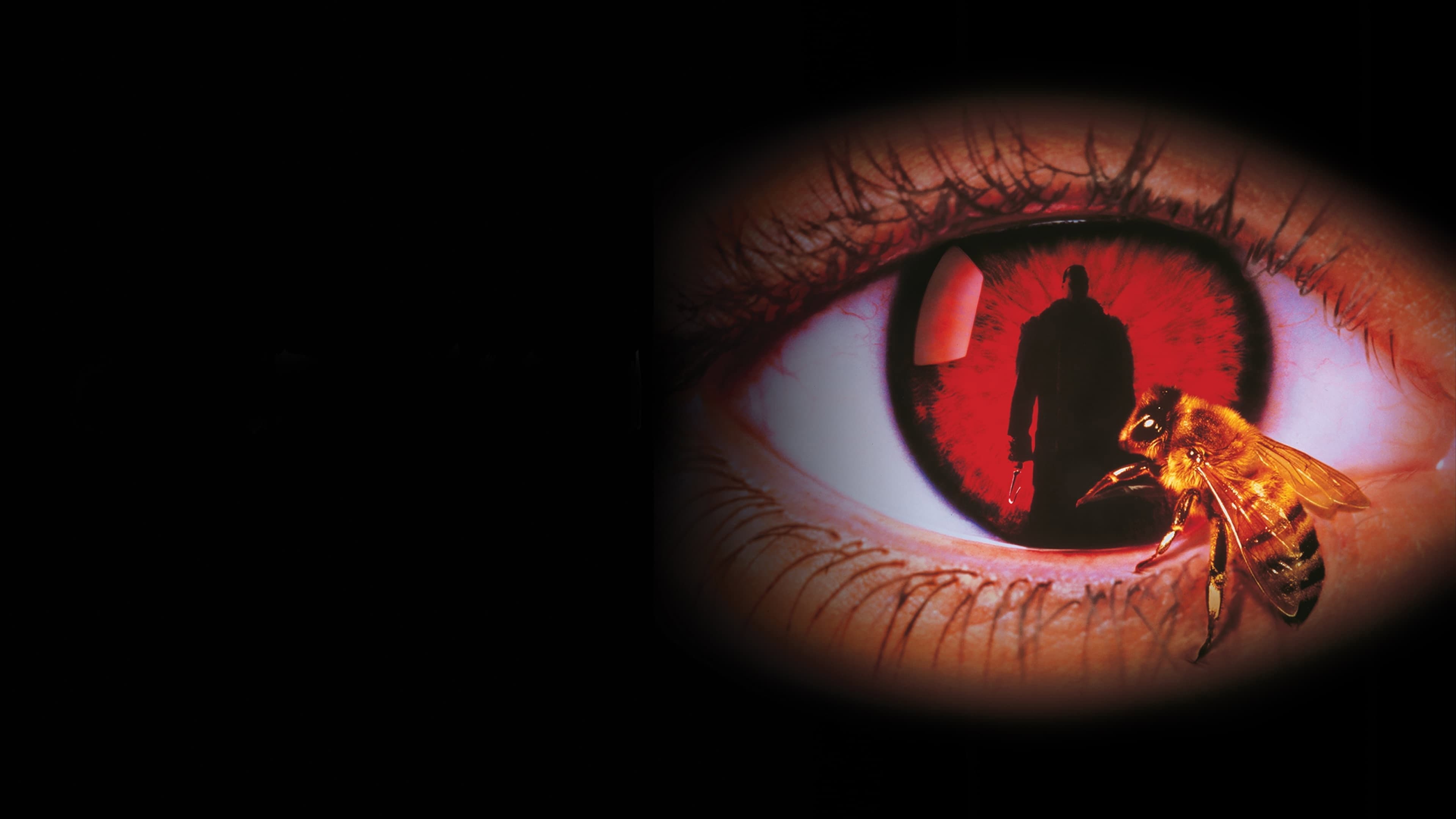 Candyman - Terrore dietro lo specchio - immagine