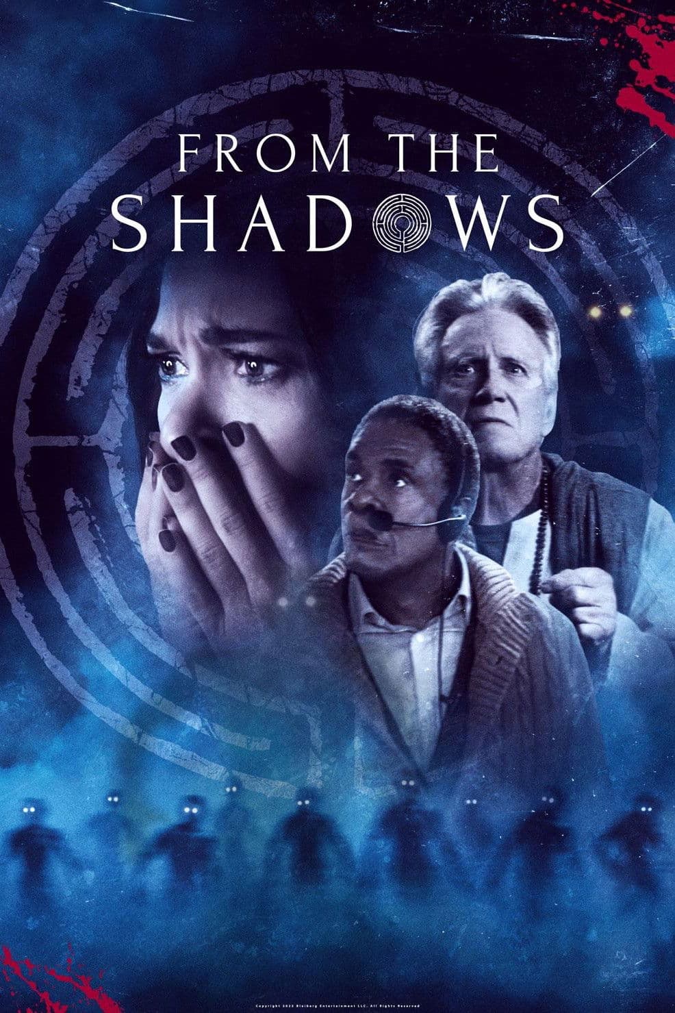 Poster di From the Shadows