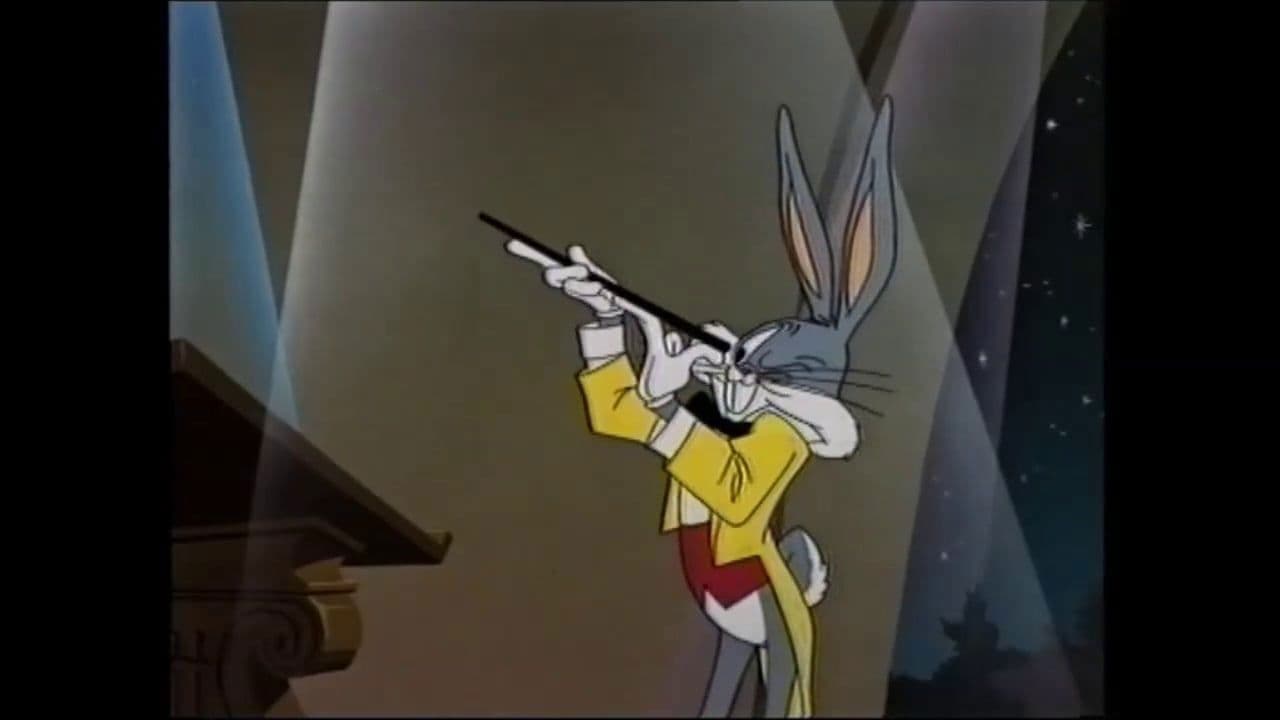 Il maestro Bunny - immagine