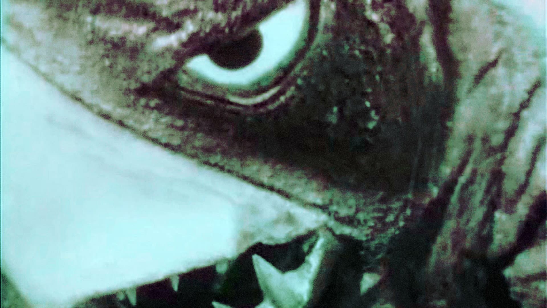 King Kong contro Godzilla - immagine