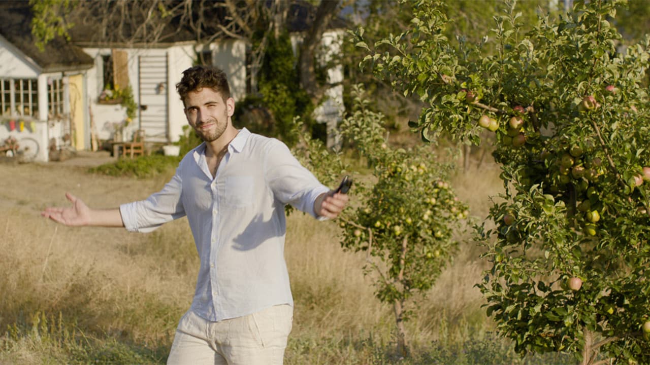 The Orchard - immagine