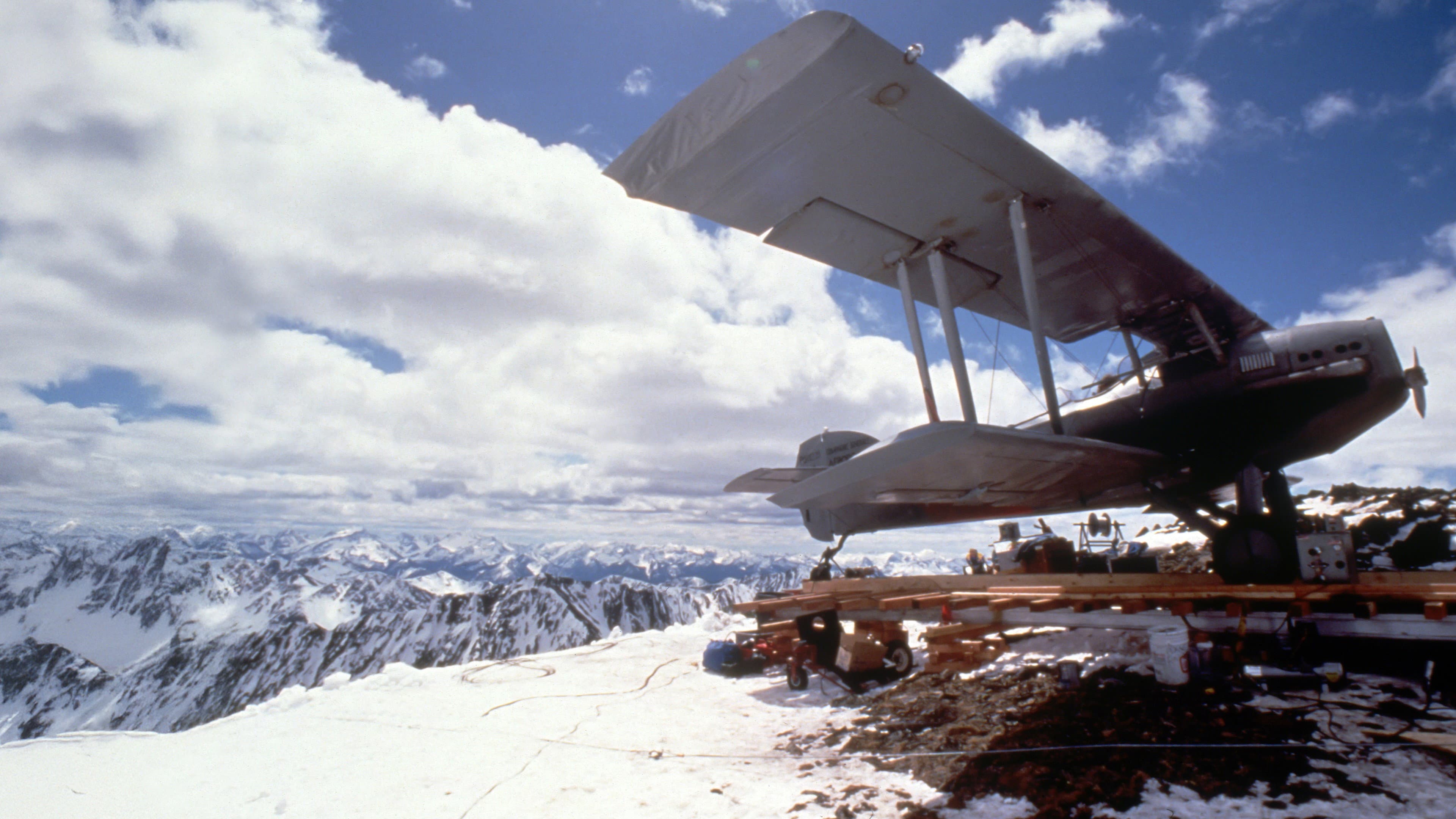 Wings of Courage - immagine