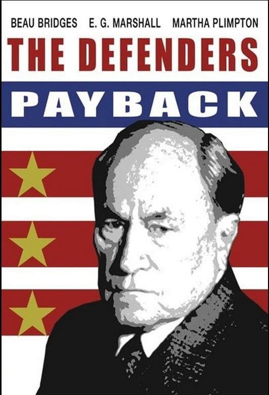 Poster di The Defenders: Payback