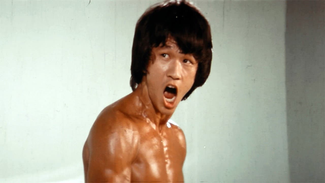 Bruce Lee - Il volto della vendetta - immagine