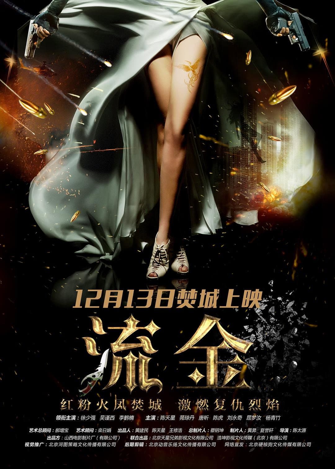 Poster di 流金