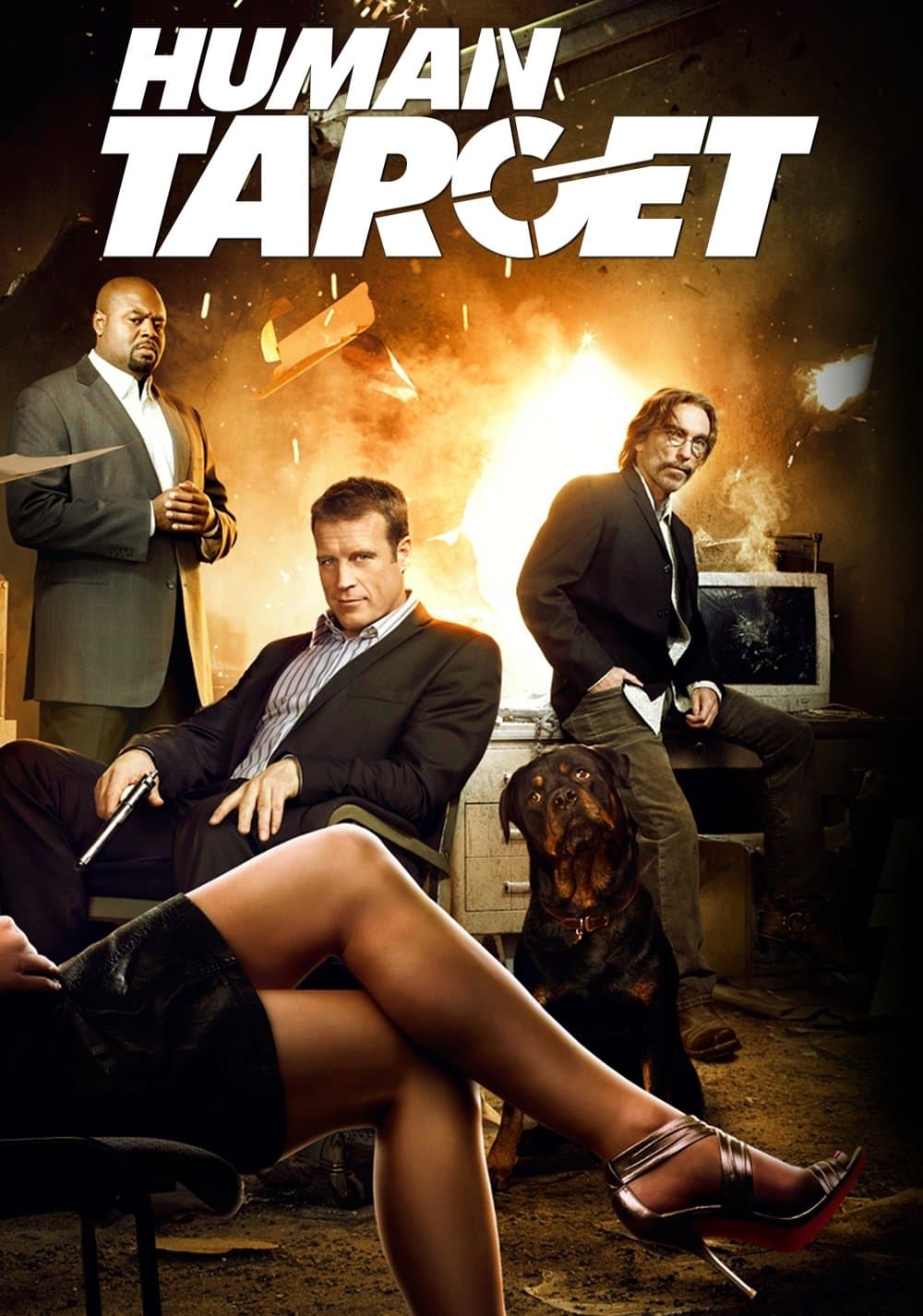 Poster di Human Target