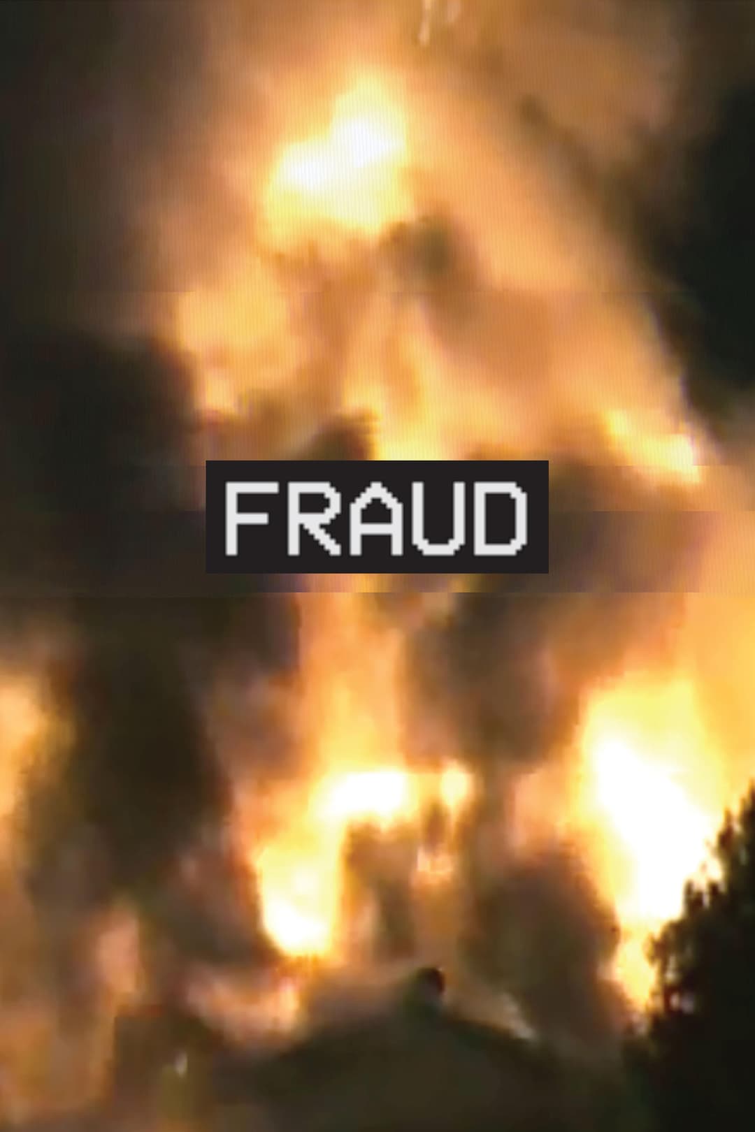 Poster di Fraud