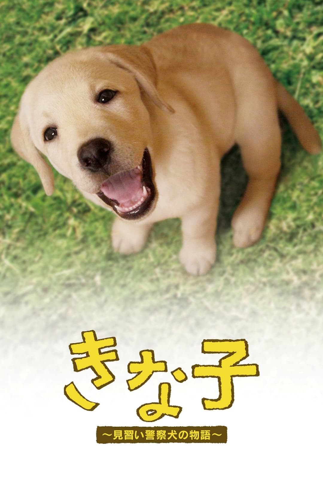 Poster di きな子〜見習い警察犬の物語