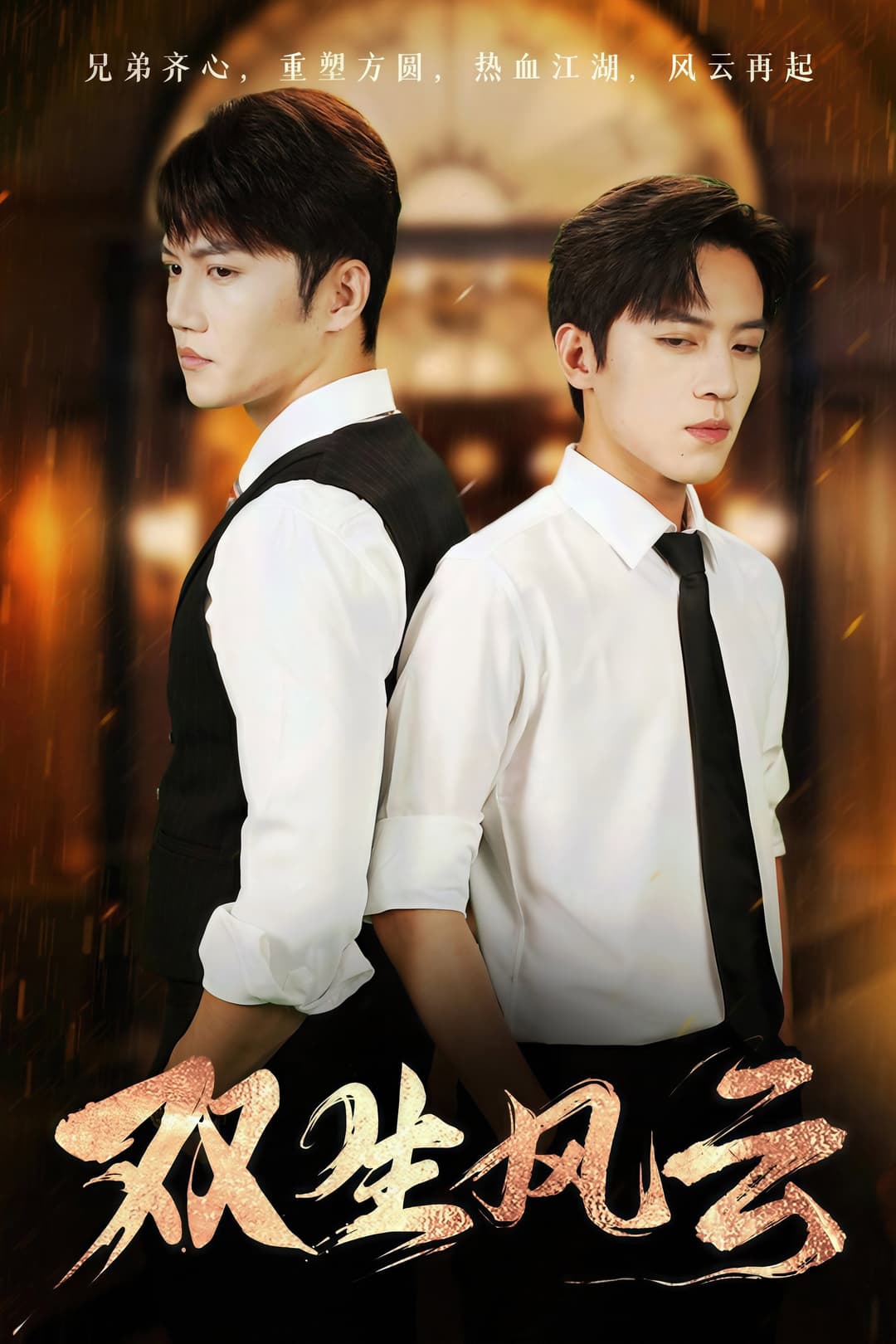 Poster di 双生风云