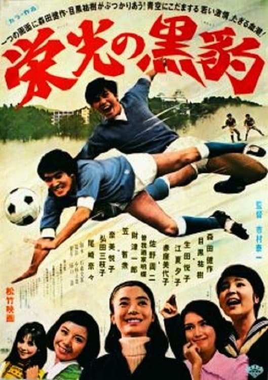 Poster di 栄光の黒豹