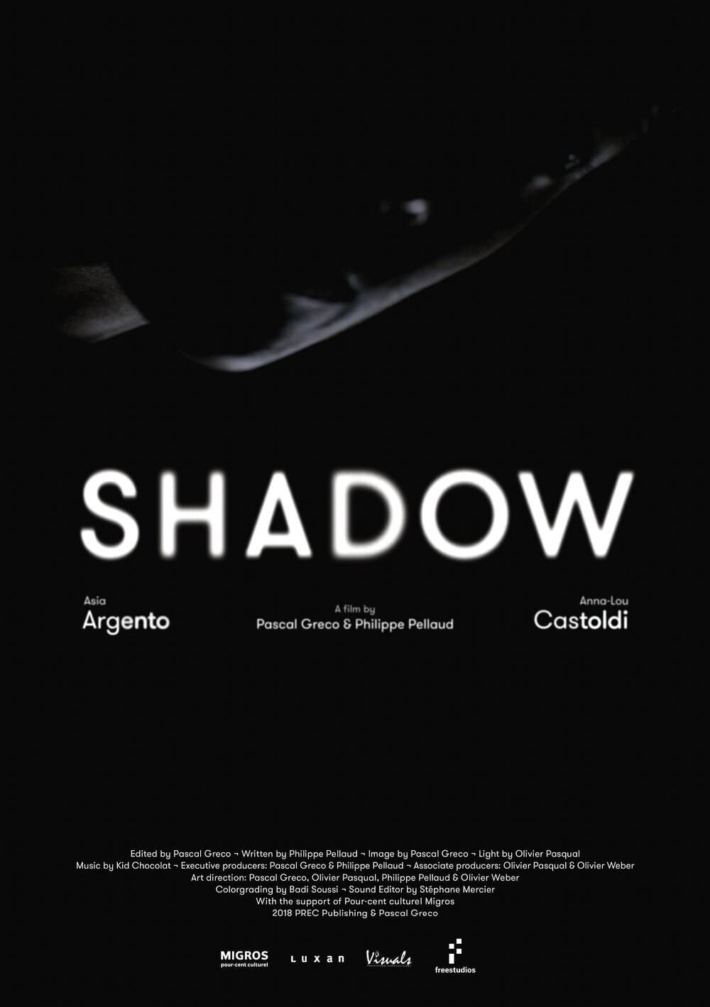 Poster di Shadow