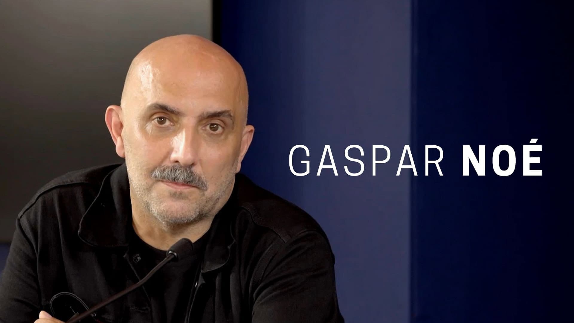 Conversation avec Gaspar Noé - immagine