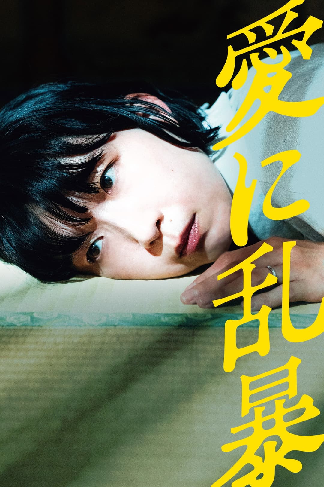 Poster di 愛に乱暴