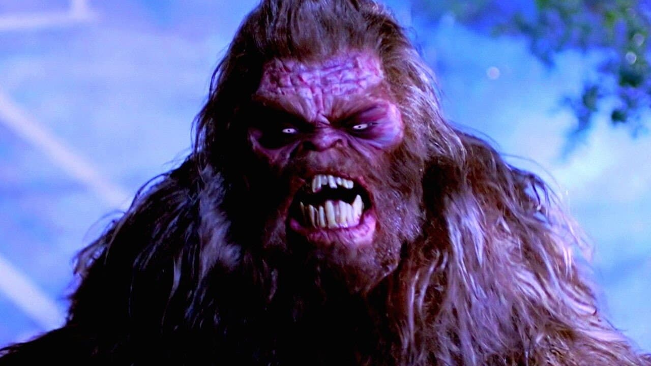 Abominable - immagine