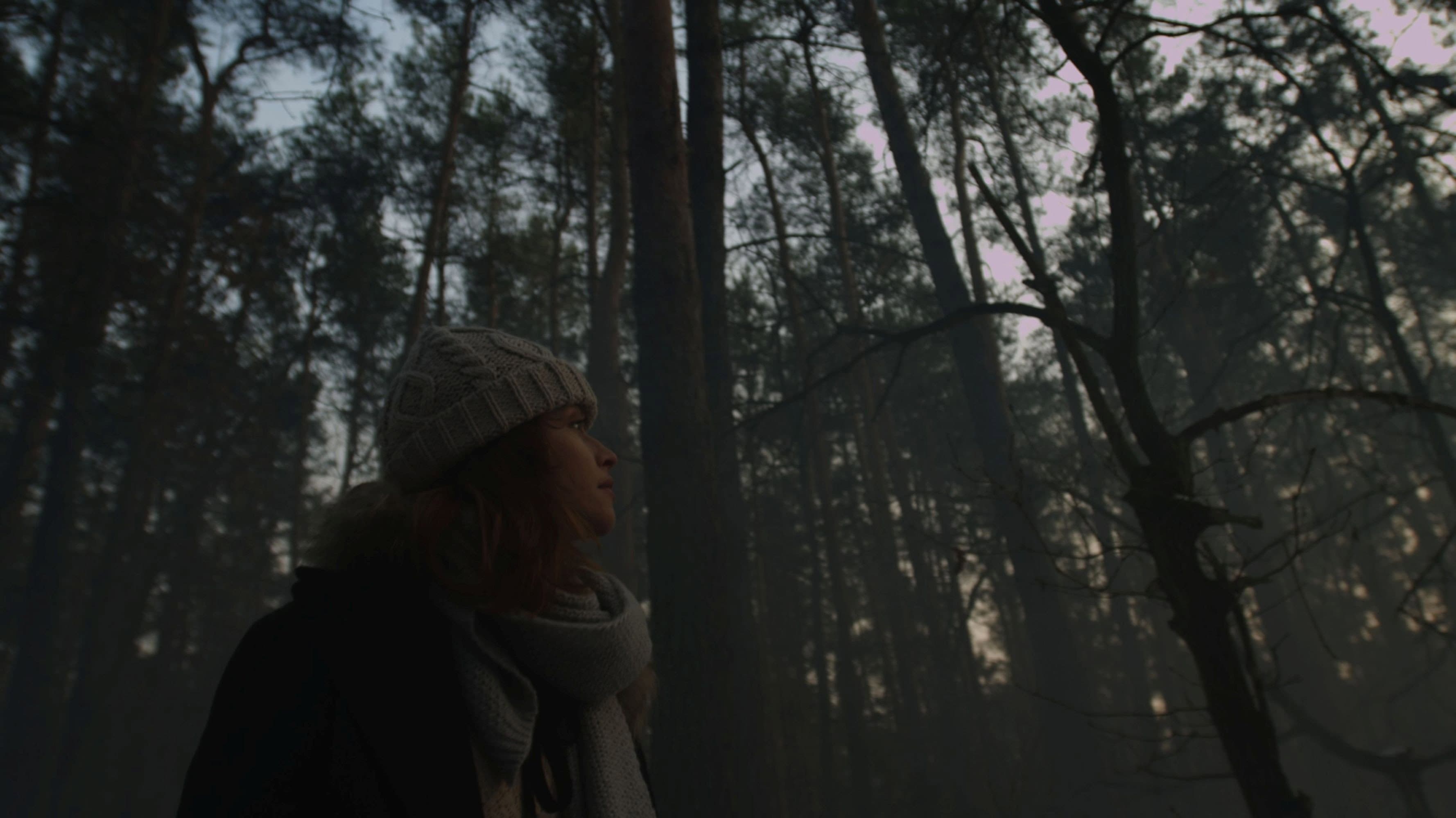 Willa - immagine