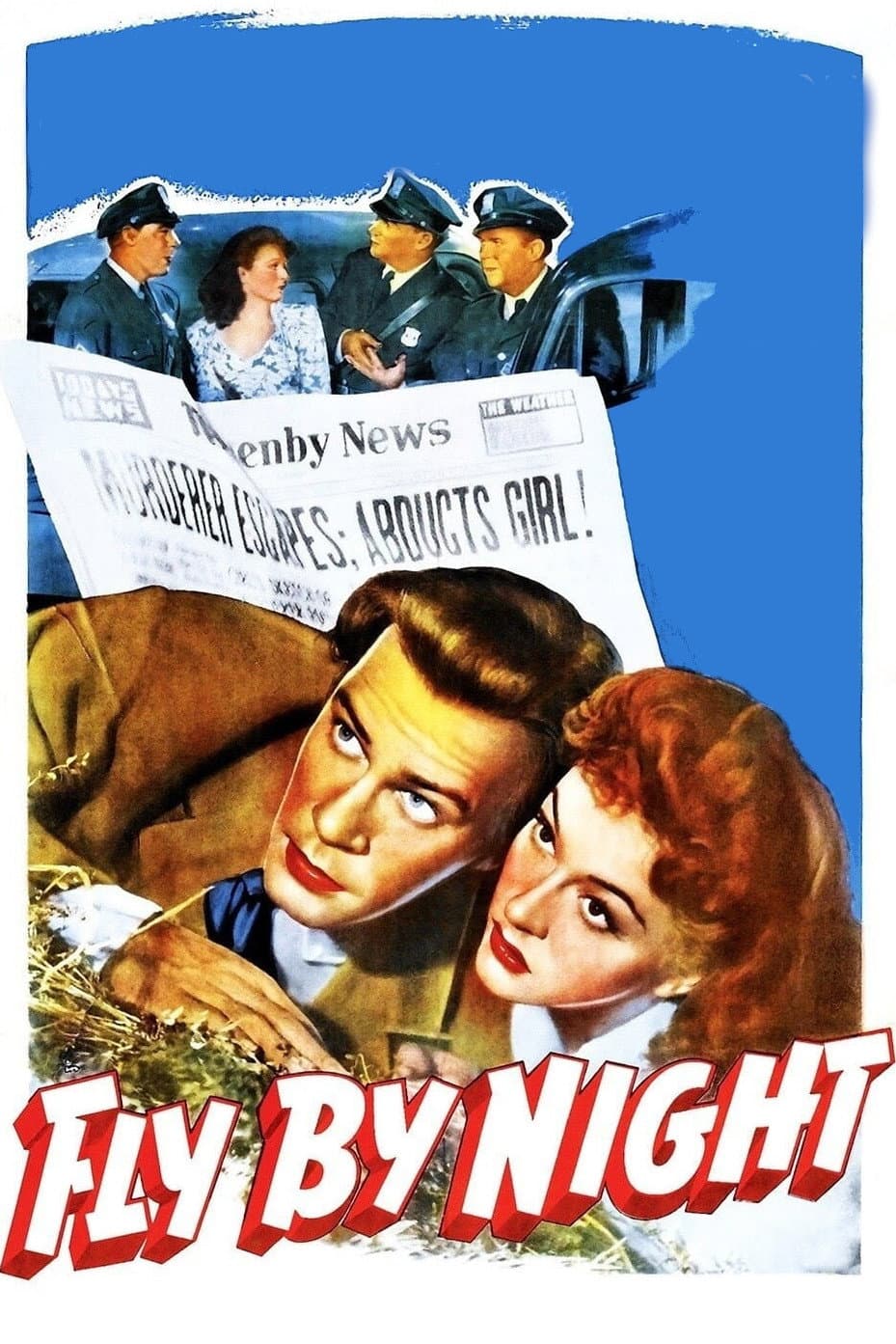 Poster di Fly By Night