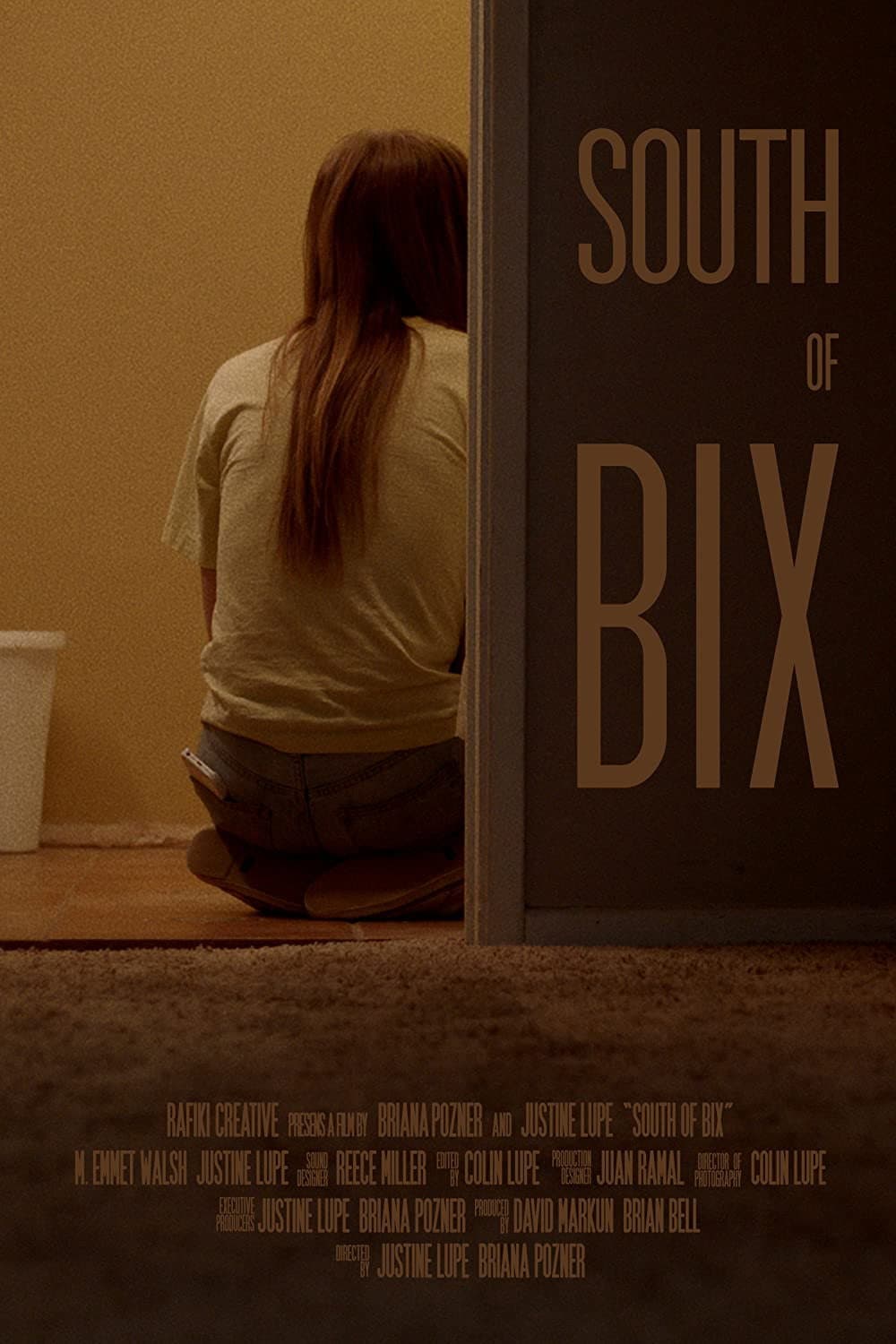 Poster di South of Bix