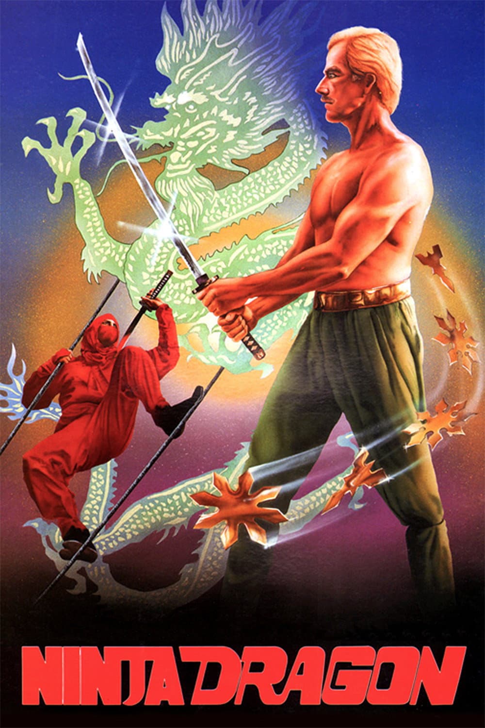 Poster di Ninja Dragon