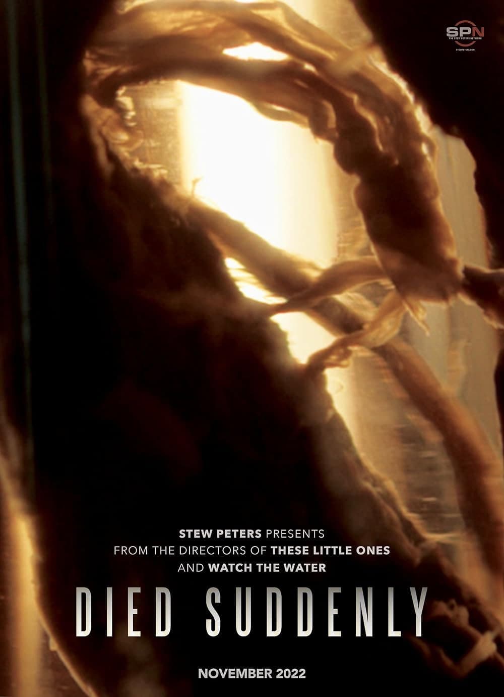 Poster di Died Suddenly