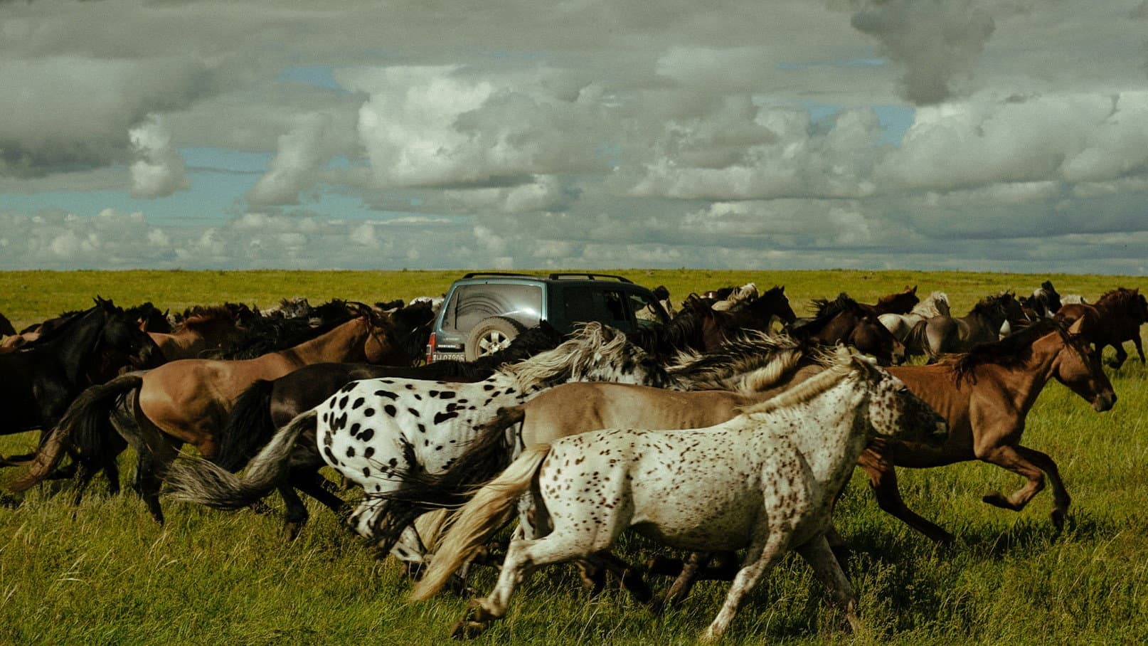 Striding Into The Wind - immagine