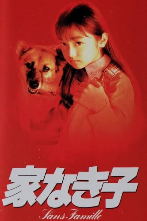 Poster di 家なき子