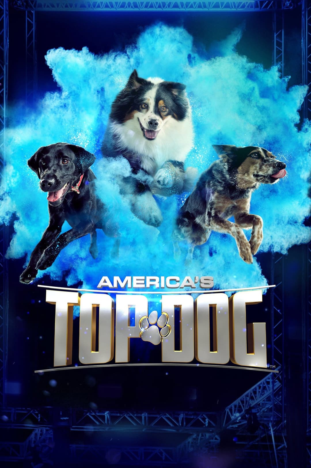 Poster di America's Top Dog