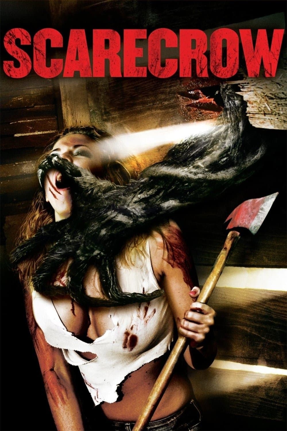 Poster di Scarecrow