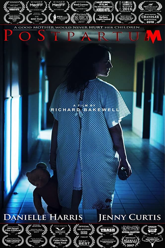Poster di Postpartum