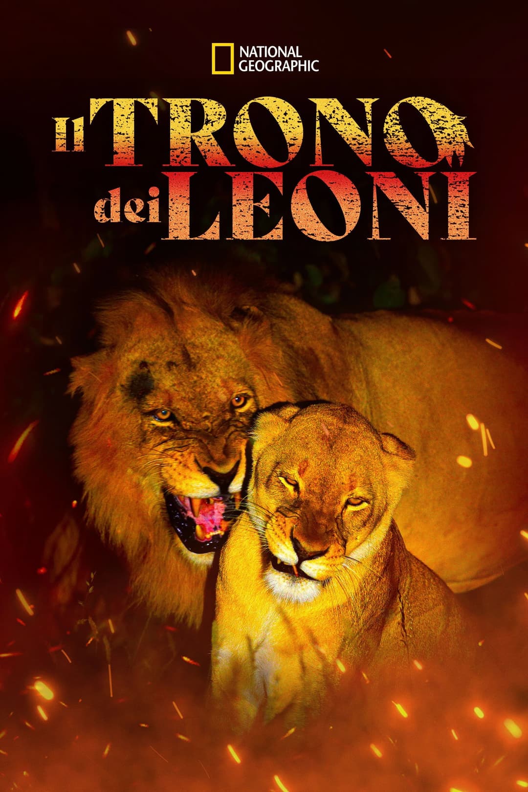 Poster di Game of Lions