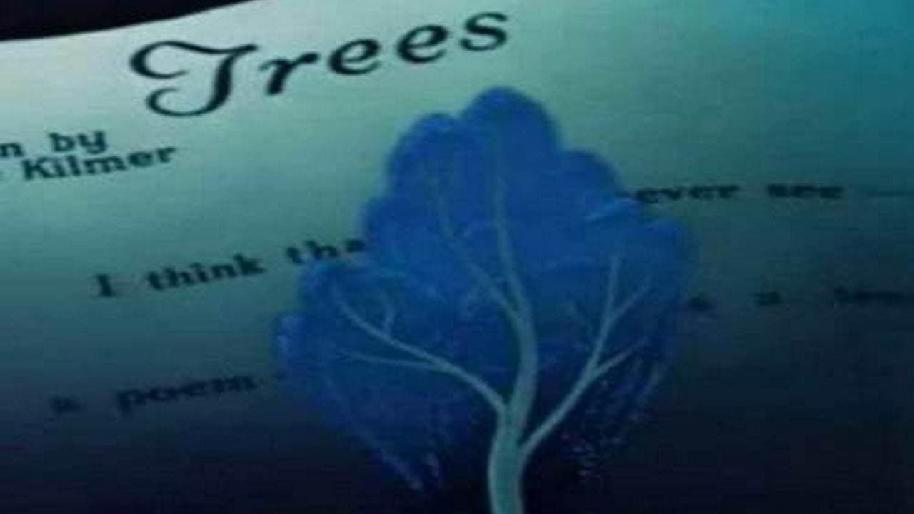 Trees - immagine