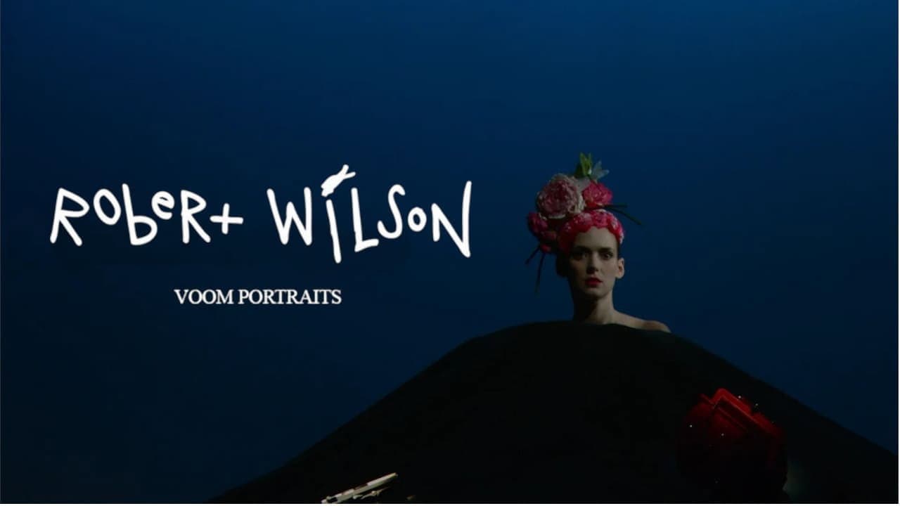 Voom Portraits - immagine