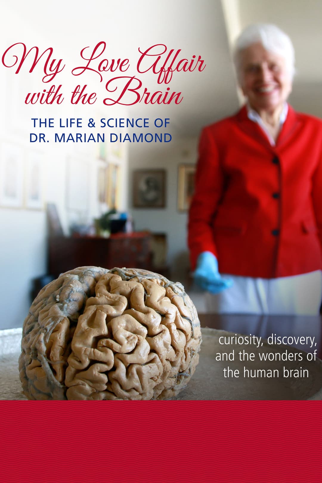 Poster di My Love Affair with the Brain