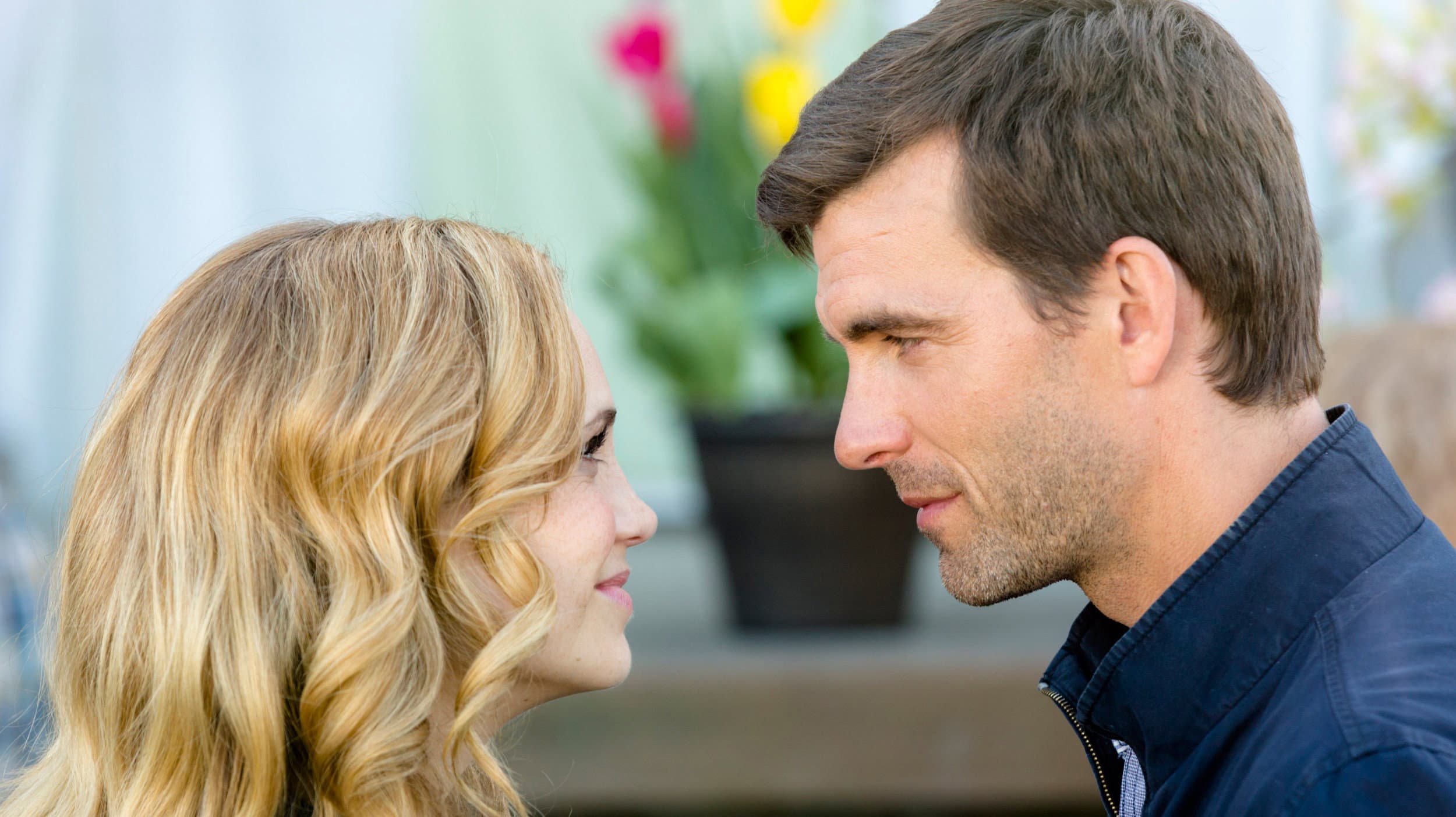 I tulipani dell'amore - immagine