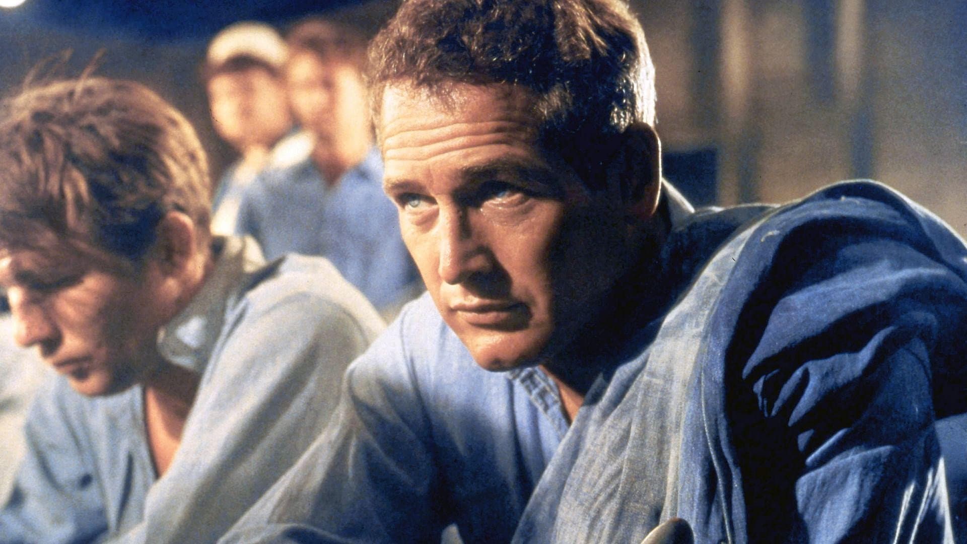 Paul Newman, l'intranquille - immagine