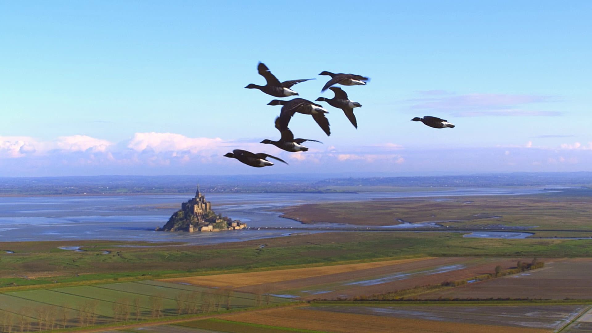 Wings 3D - immagine