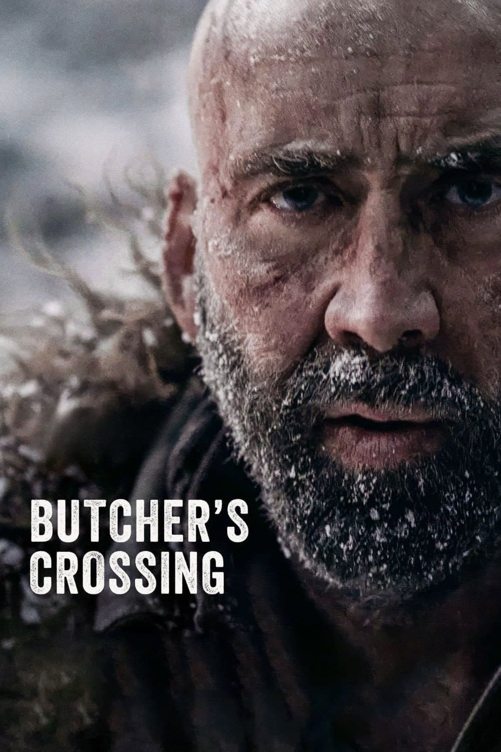 Poster di Butcher's Crossing