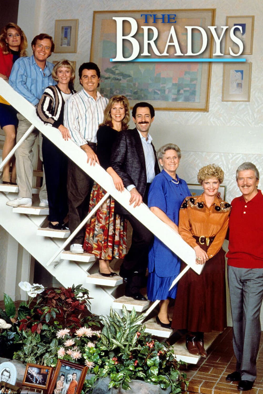 Poster di The Bradys