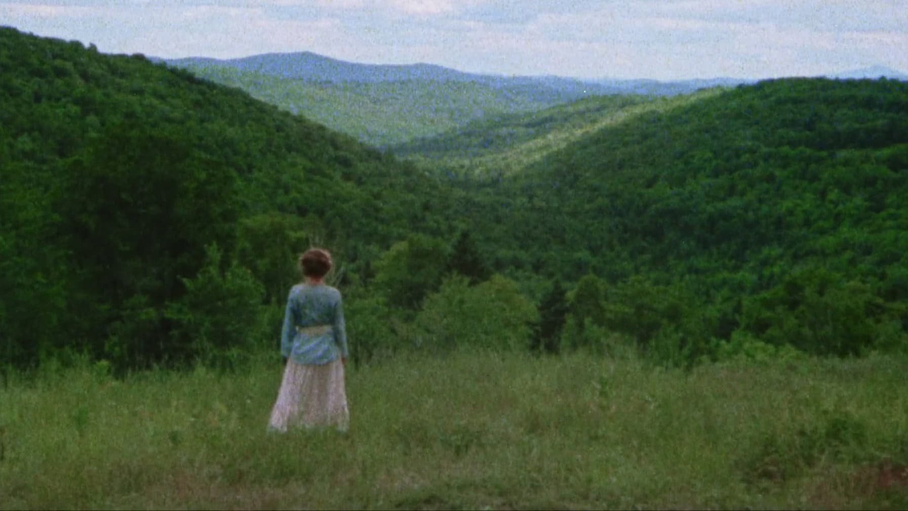 Pilgrim, Farewell - immagine