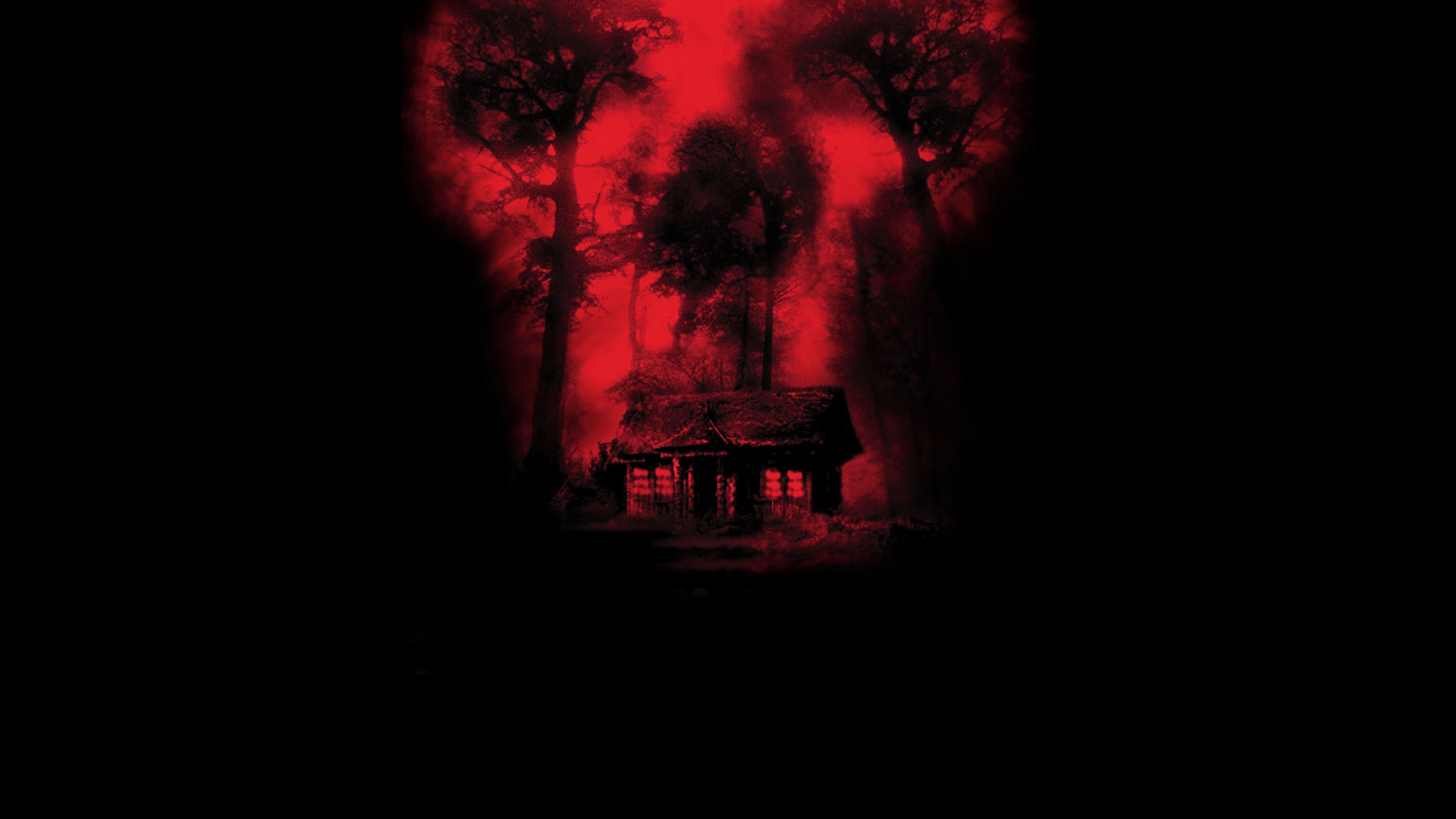 Cabin Fever - immagine