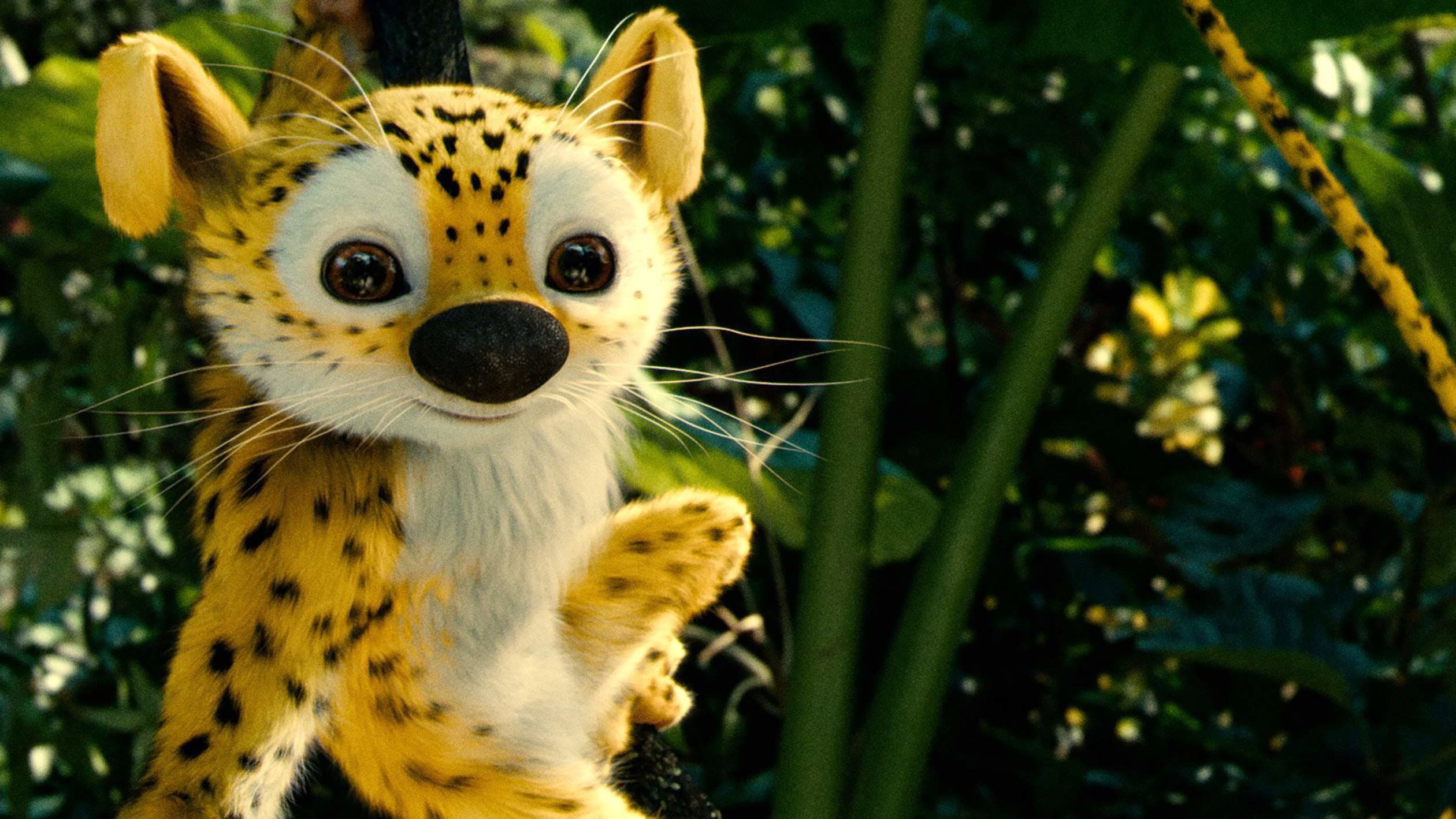 Marsupilami - immagine