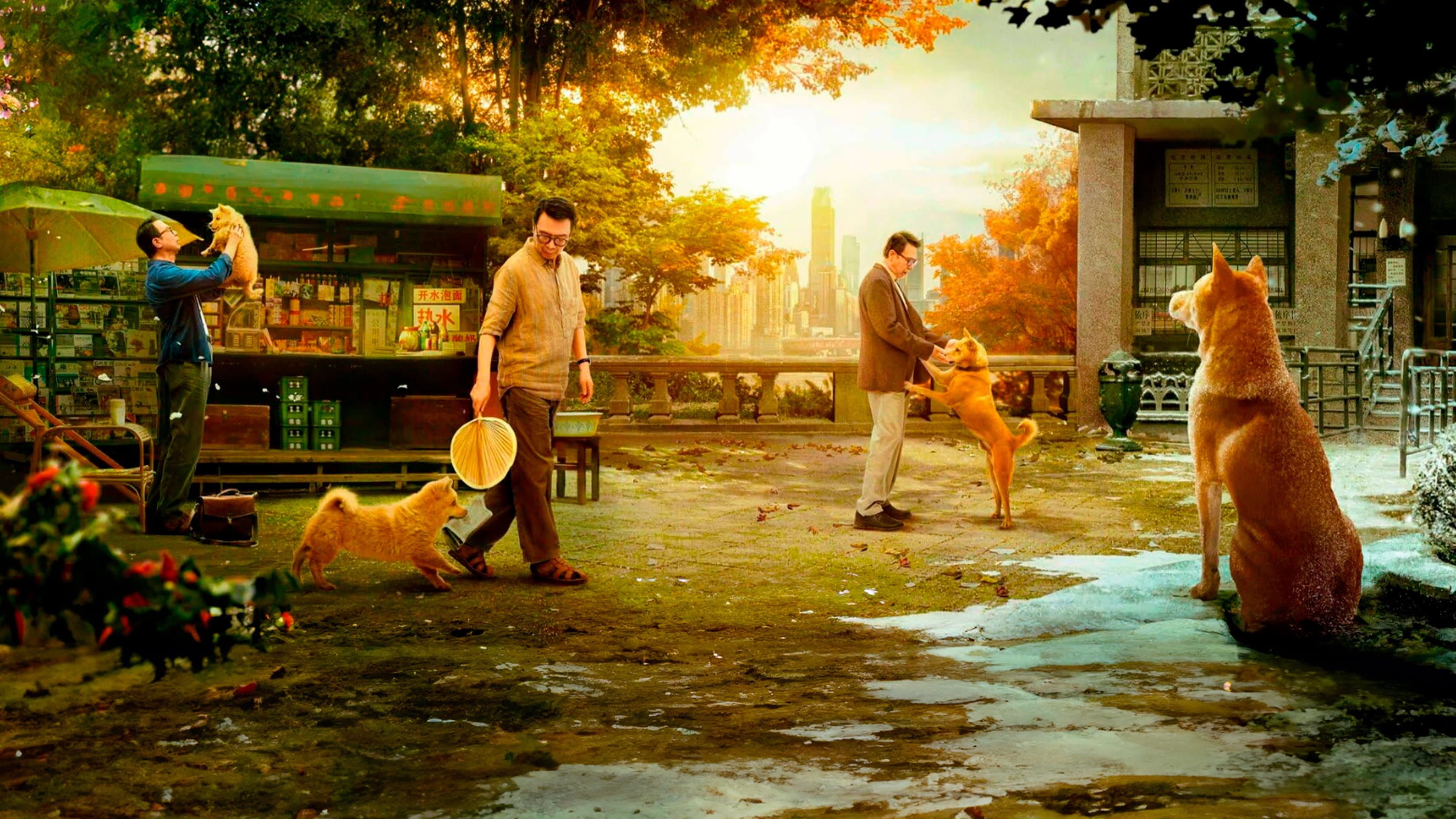 Hachiko - immagine