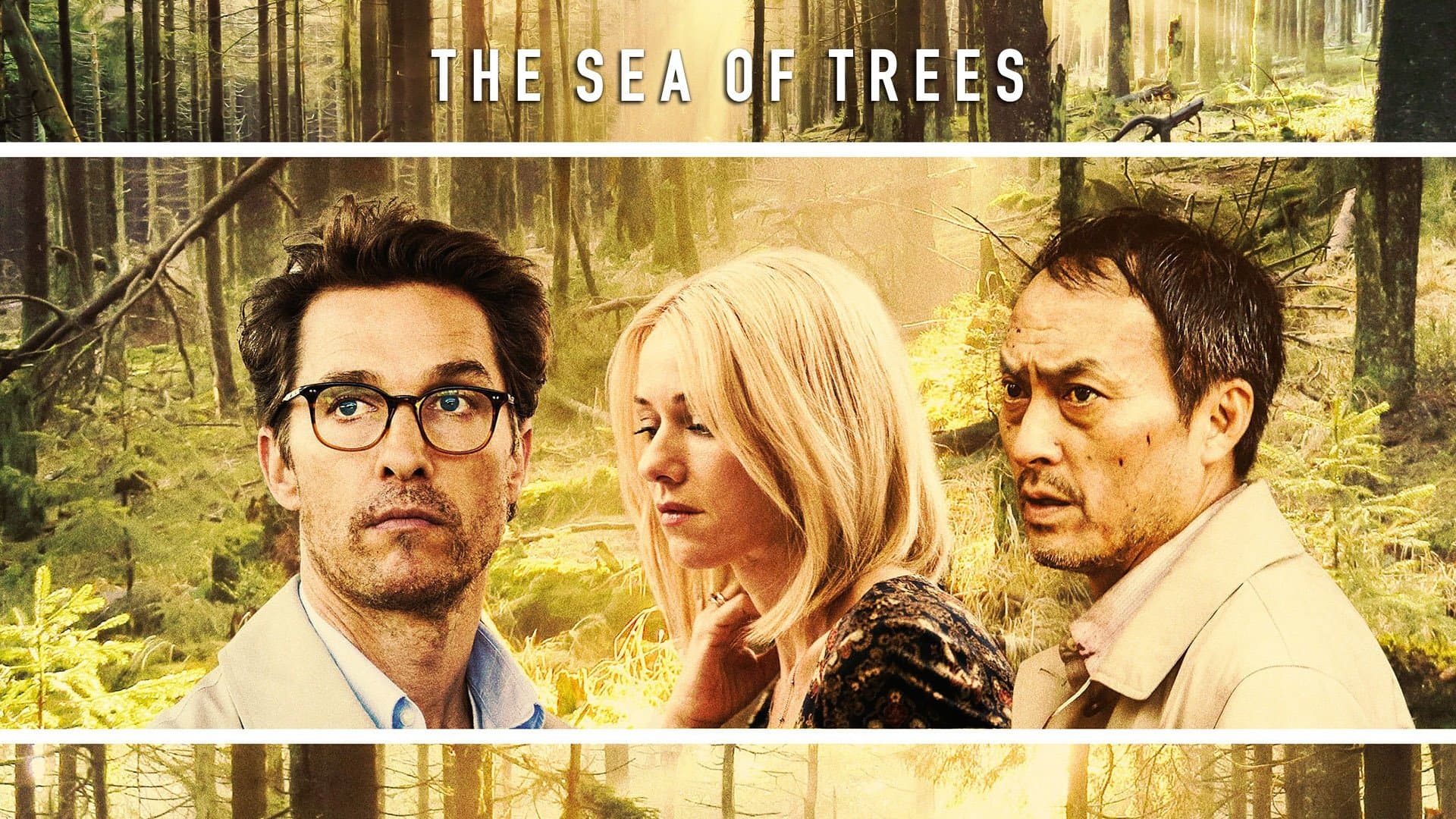 La foresta dei sogni - immagine