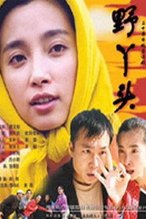 Poster di 野丫头