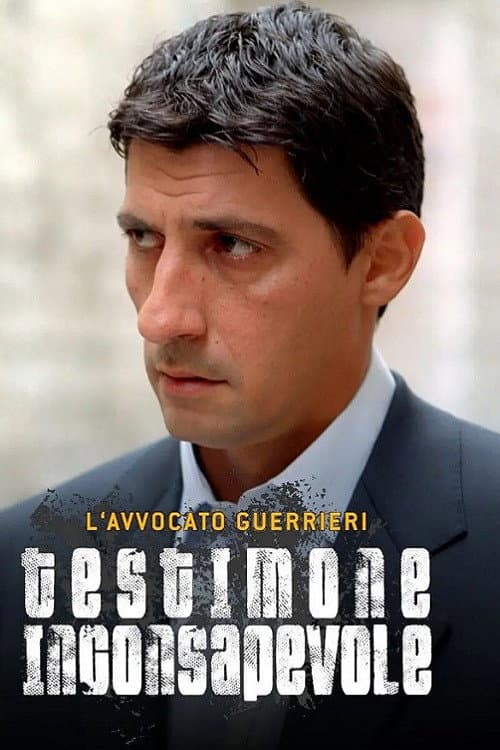 Poster di L'avvocato Guerrieri