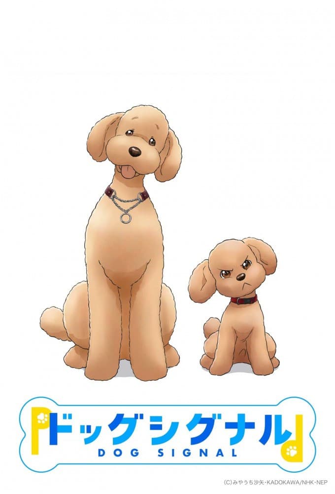 Poster di ドッグシグナル
